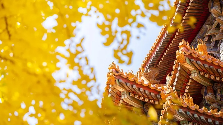 让首都文化魅力更添时代光彩 让首都文化魅力更添时代光彩