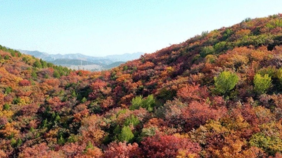 金秋时节,来顺义乡村骑游,共享丰收! 金秋时节,来顺义乡村骑游,共享丰收!