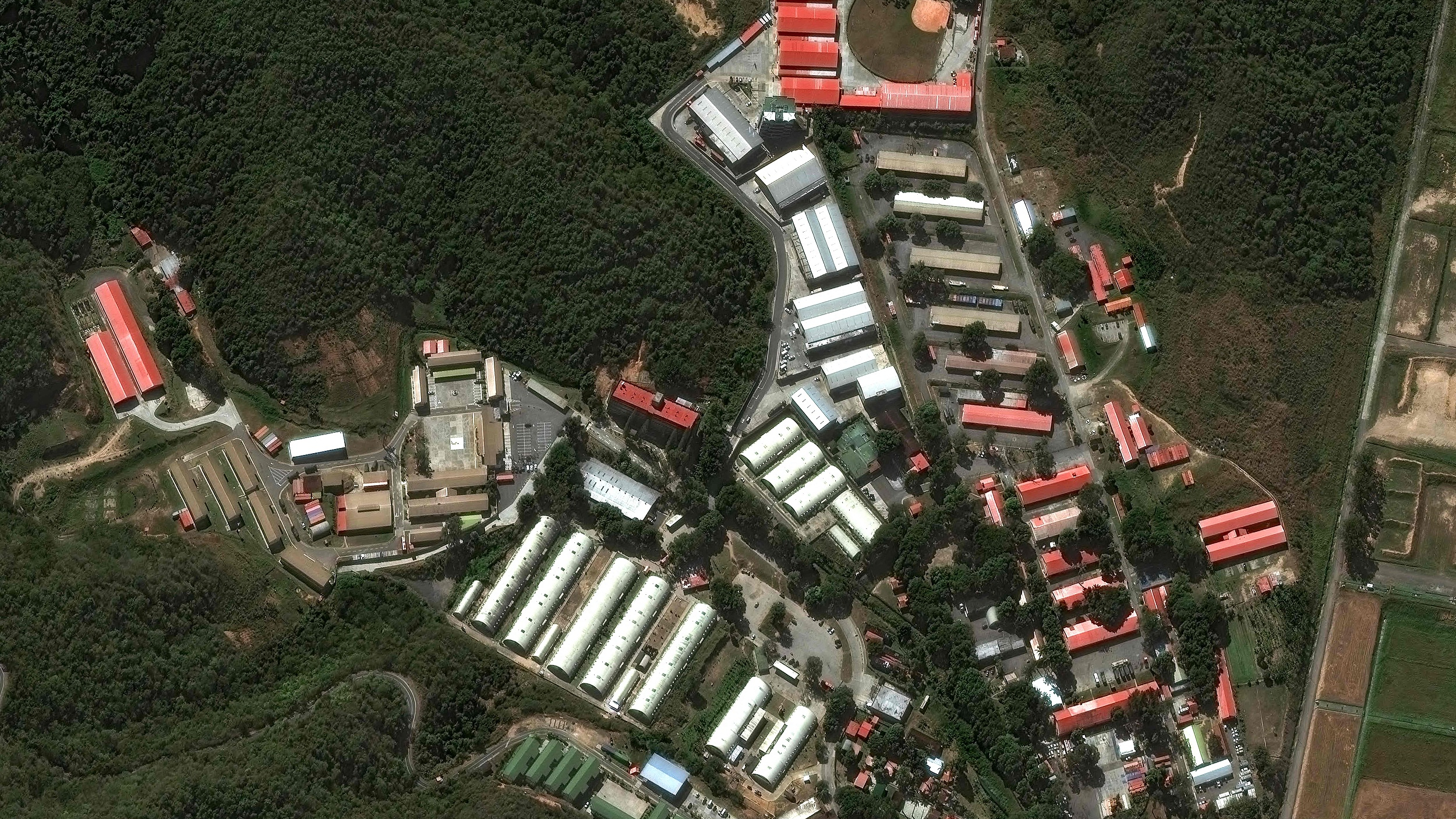 美国法学教授：美国袭击委内瑞拉毫无法律依据