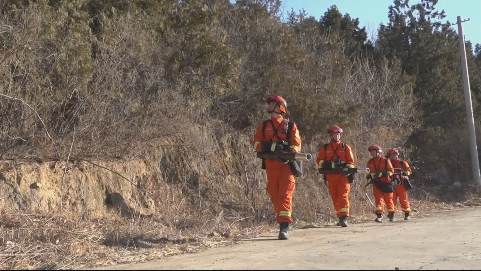 森林火险预警等级升为黄色 本市严格管控火种进山入林