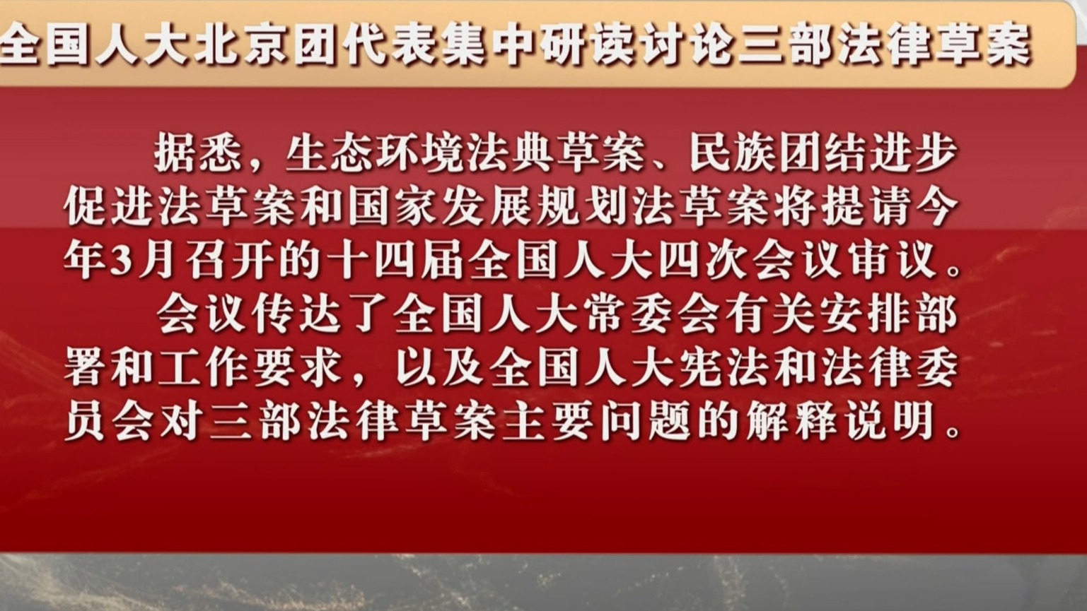 全国人大北京团代表集中研读讨论三部法律草案 全国人大北京团代表集中研读讨论三部法律草案