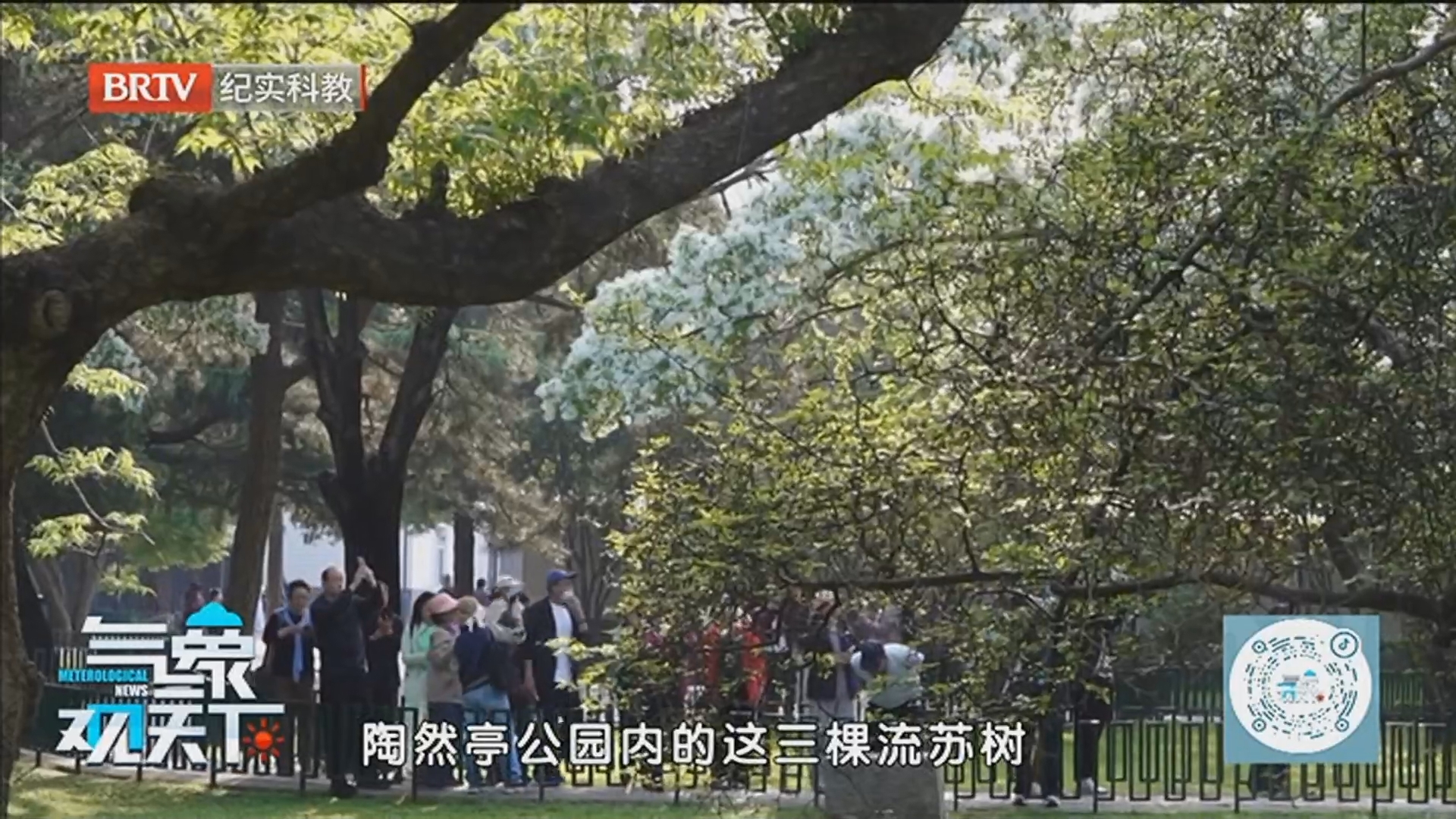 《气象观天下》20260528美景拾遗 尽享休闲之美