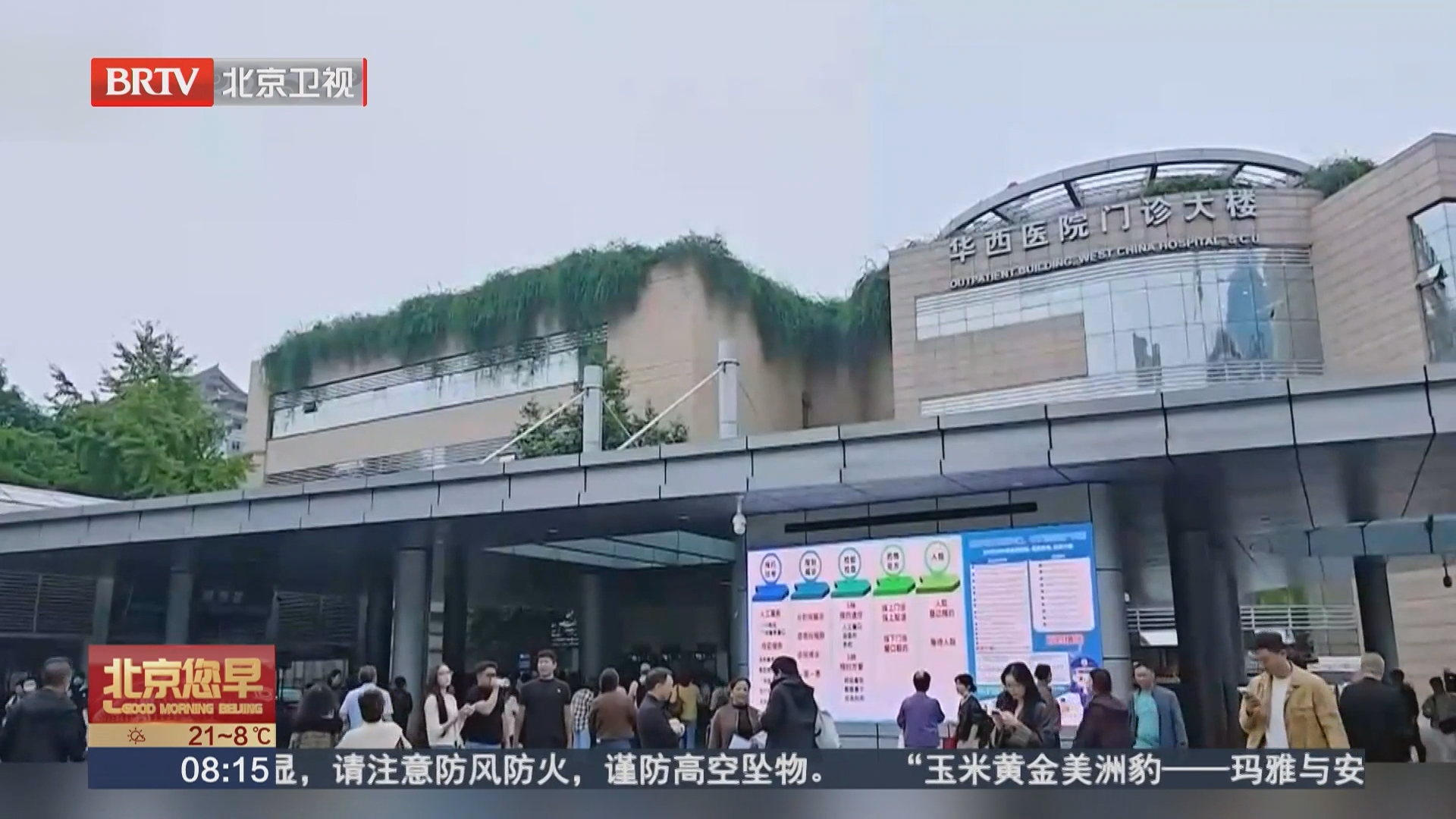 专家解读：结石数量多不等于风险高