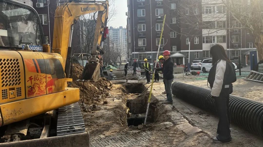 一线社工话治理 | 张素平:聚焦社区“小切口”撬动基层“大治理” 一线社工话治理 | 张素平:聚焦社区“小切口”撬动基层“大治理”