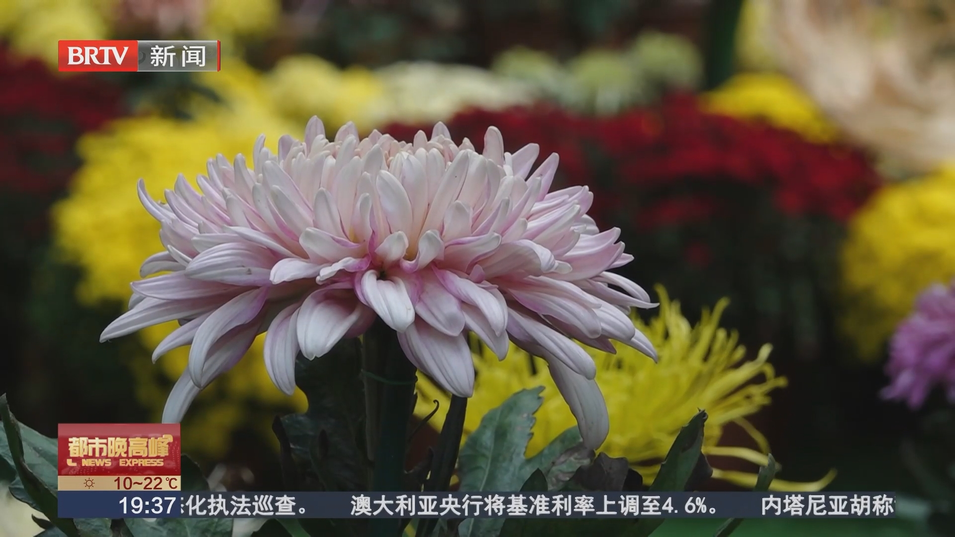 北京国庆游园系列活动今天启动