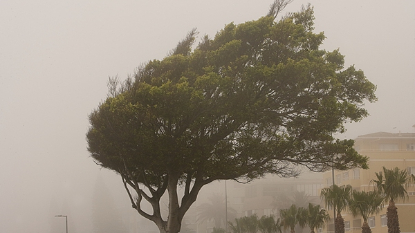 风大雨强!房山局地现8级阵风和直径1厘米冰雹 风大雨强!房山局地现8级阵风和直径1厘米冰雹