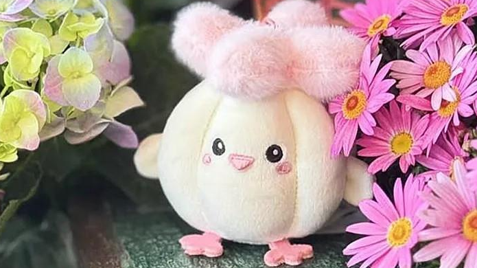 “蒜鸟~蒜鸟~”武汉公交“劝和员”表现亮眼 “蒜鸟~蒜鸟~”武汉公交“劝和员”表现亮眼