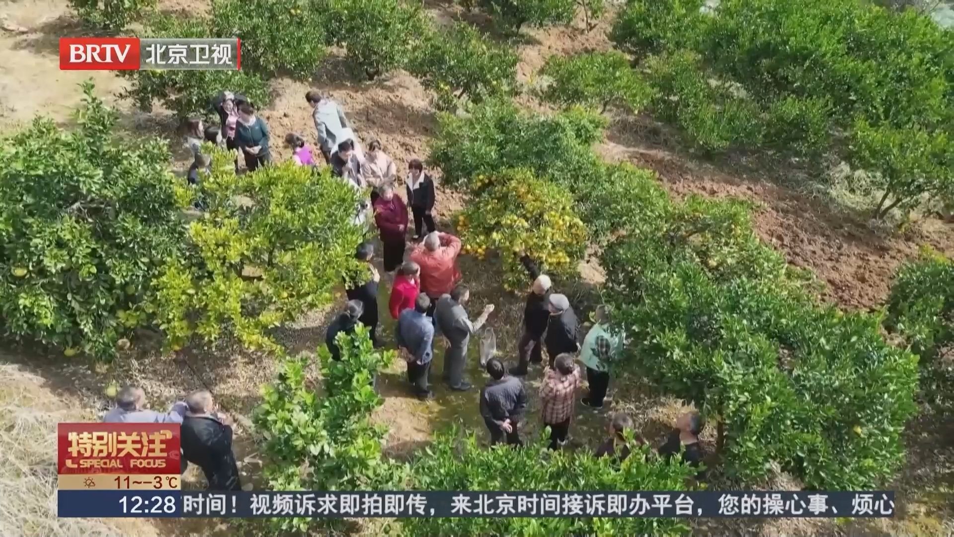 赏菊 品菊 平谷菊花主题餐厅打造“美丽经济”