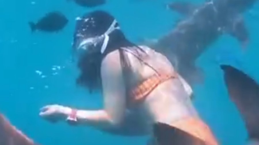 女子为出片生理期潜水被鲨鱼咬伤 女子为出片生理期潜水被鲨鱼咬伤