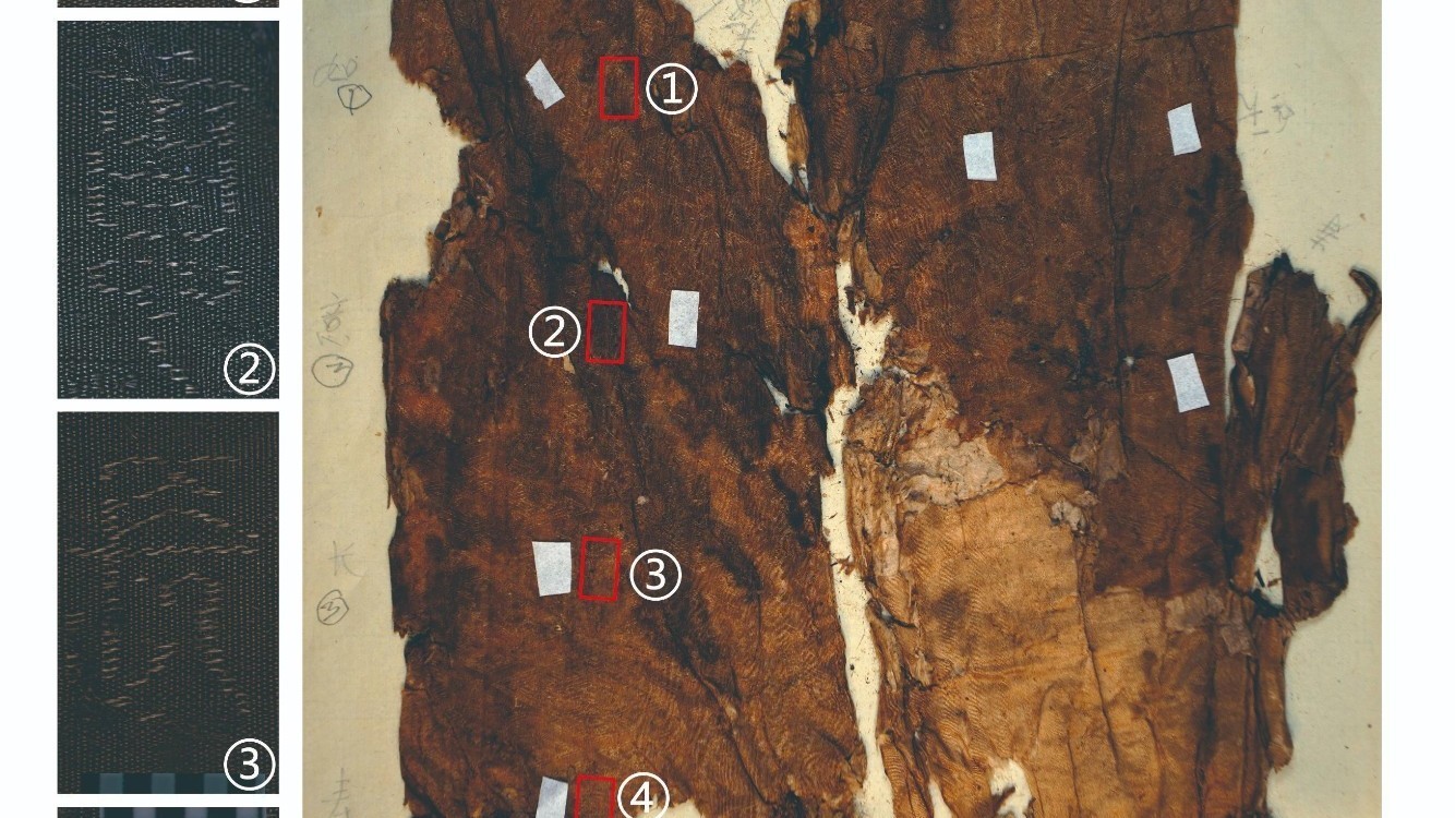 文博上新!马王堆汉墓出土文物完成清库 文博上新!马王堆汉墓出土文物完成清库