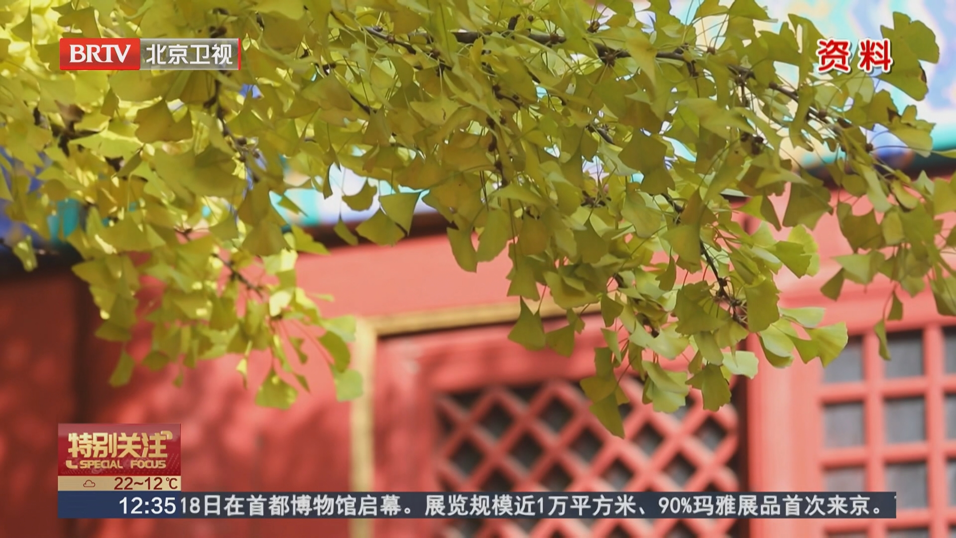 北京全面开启多彩“京”秋系列赏红活动