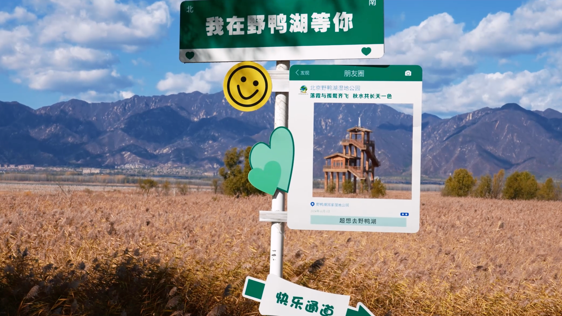 万苇知秋,满目金黄,奔赴野鸭湖,遇见秋正浓! 万苇知秋,满目金黄,奔赴野鸭湖,遇见秋正浓!