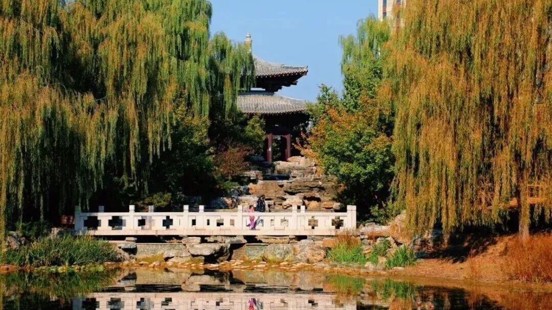 北京：这几地彩叶变色率已达100%