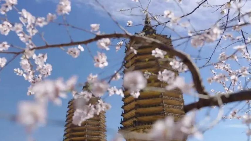 春探昌平延寿镇银山塔林,乐享山野隐逸之旅 春探昌平延寿镇银山塔林,乐享山野隐逸之旅