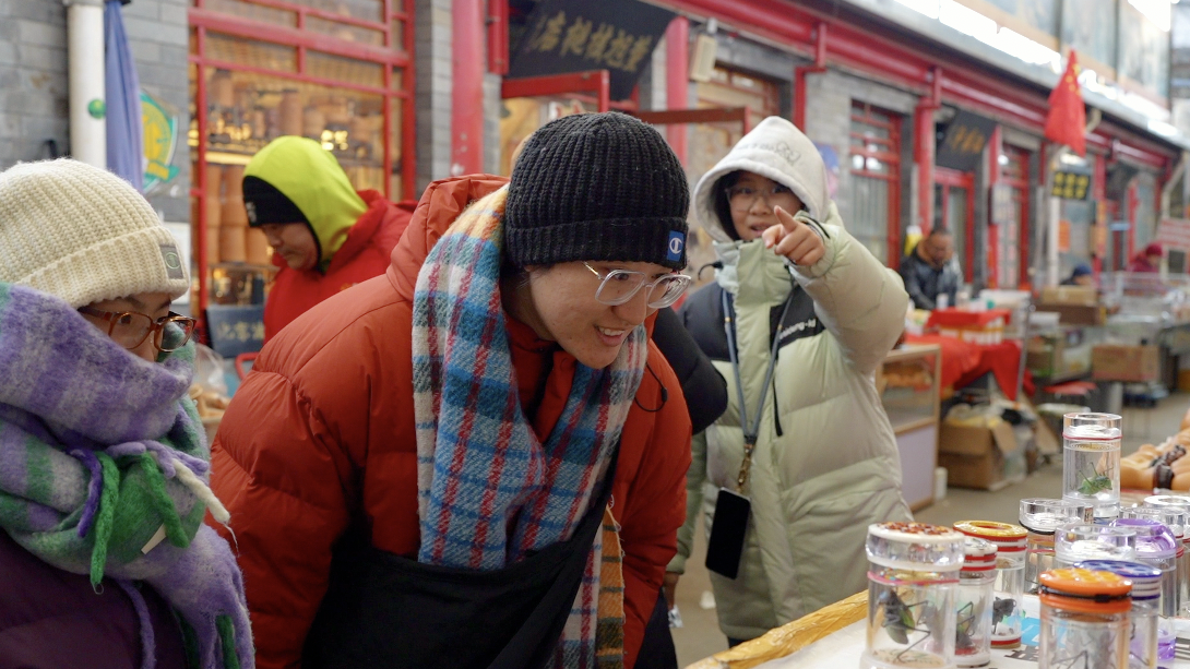 遇见暖·就是年｜鸣虫报春，万物生发