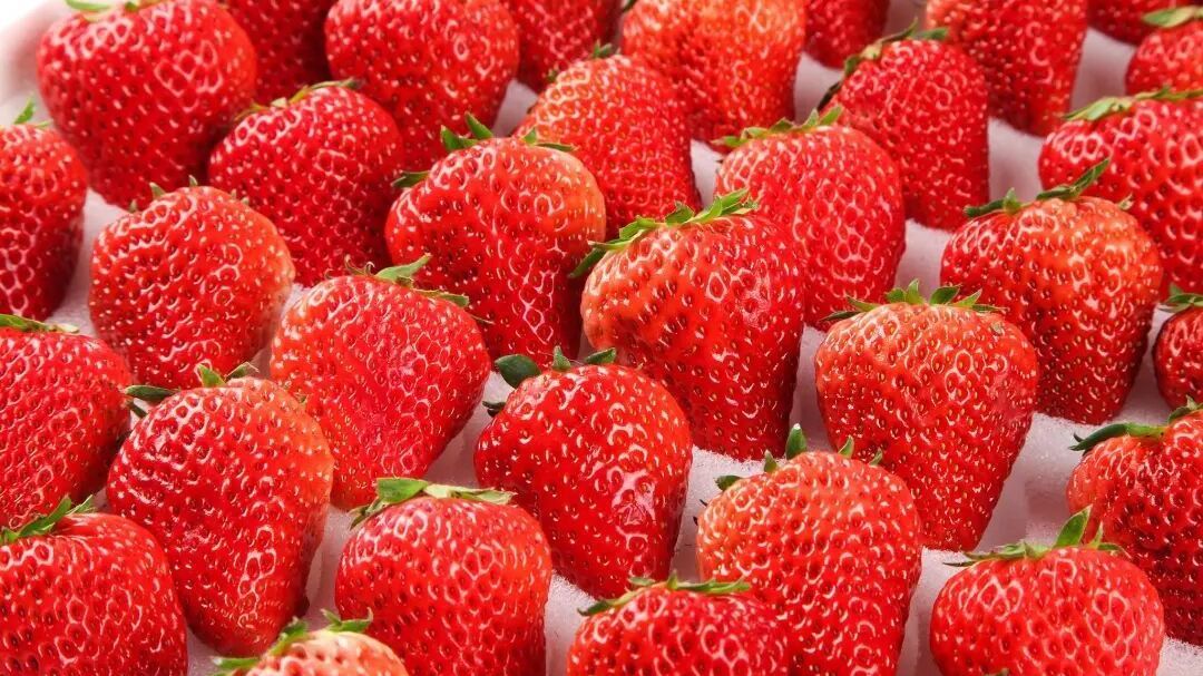 黑草莓火了，到底有什么不一样？