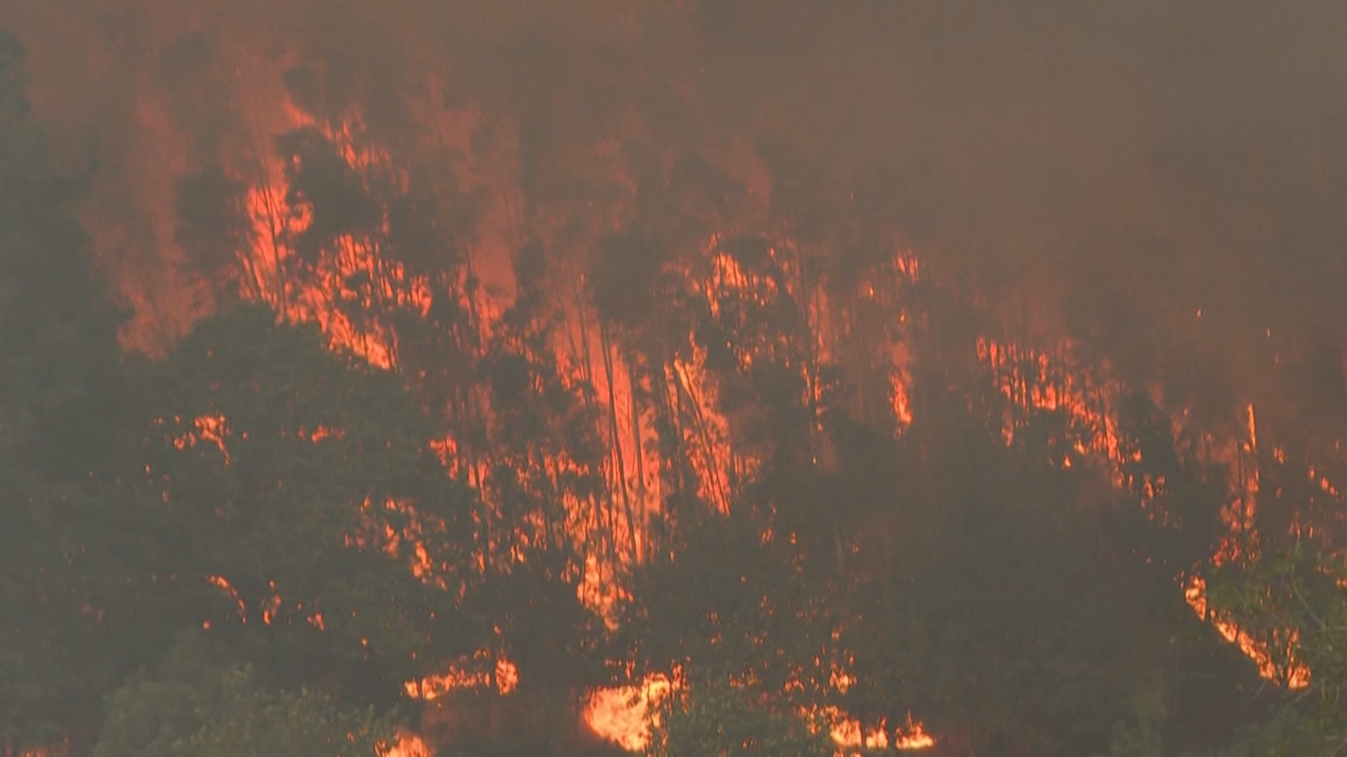 葡萄牙野火持续蔓延 请求欧盟支援灭火