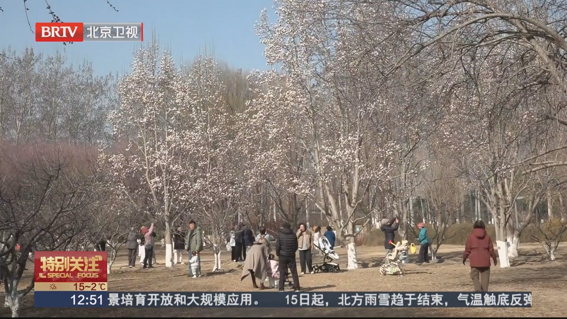 奥森公园春花节浪漫启幕