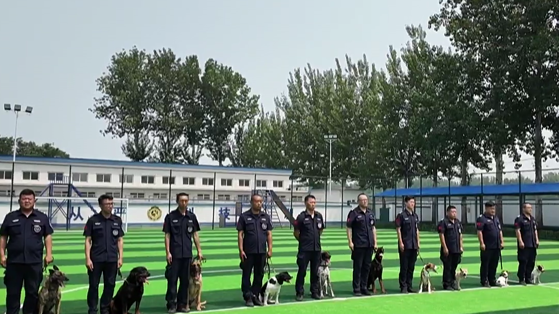 北京警察纪实:“汪汪”队出动 严守物流禁毒防线 北京警察纪实:“汪汪”队出动 严守物流禁毒防线