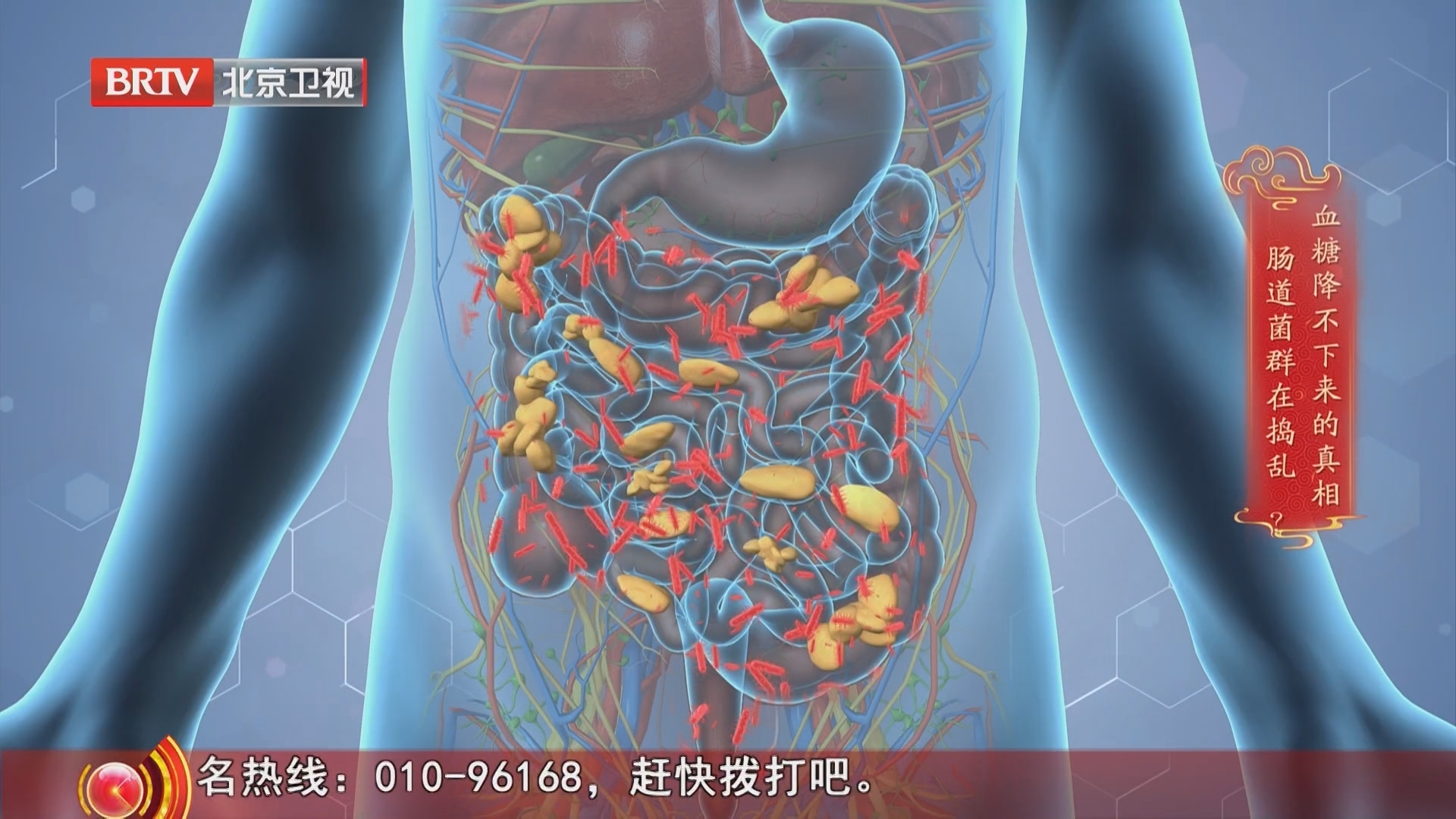 《养生堂》20250811血糖控不好 病根在肠子