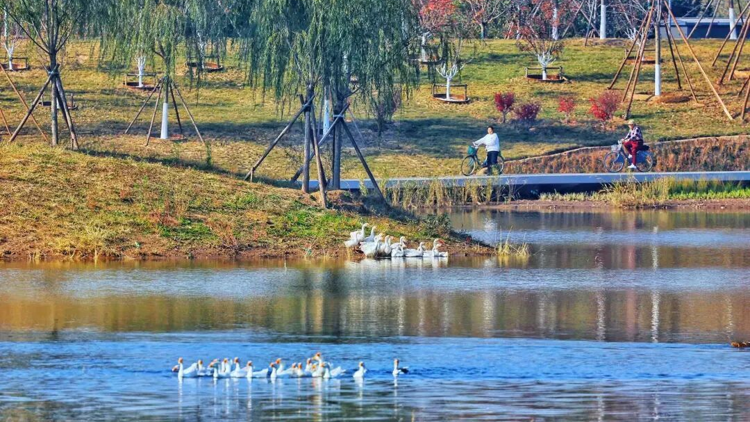 北京首条!坝河15公里游船航线今天试航,正式开通时间—— 北京首条!坝河15公里游船航线今天试航,正式开通时间——