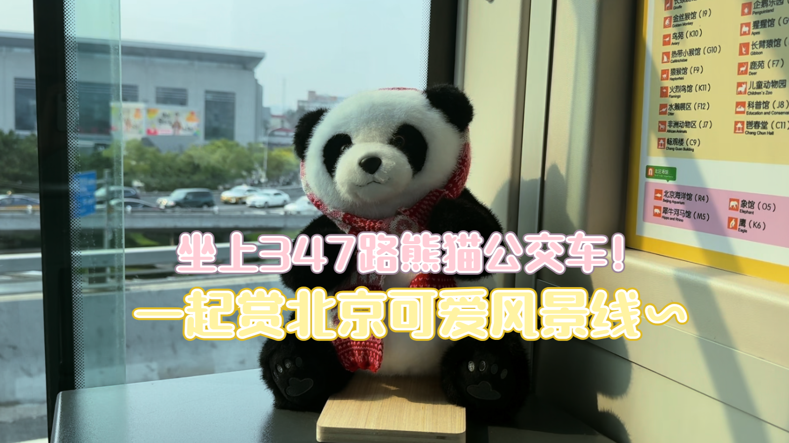 坐上347 路熊猫公交车！一起赏北京可爱风景线