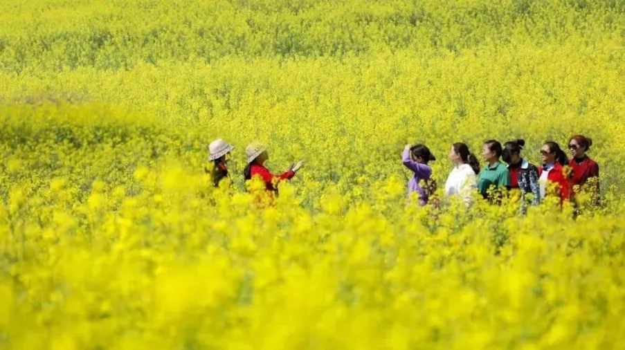 五年,十堰这“六件事”完美交卷 五年,十堰这“六件事”完美交卷