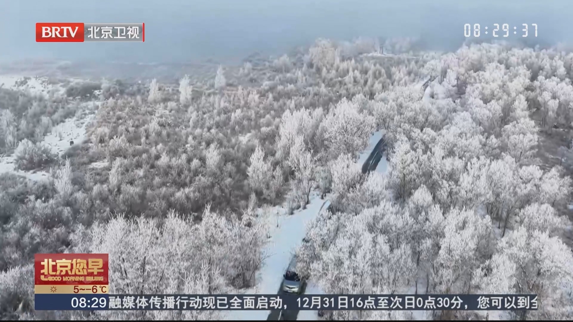 新疆莎车县：雾凇美景上线