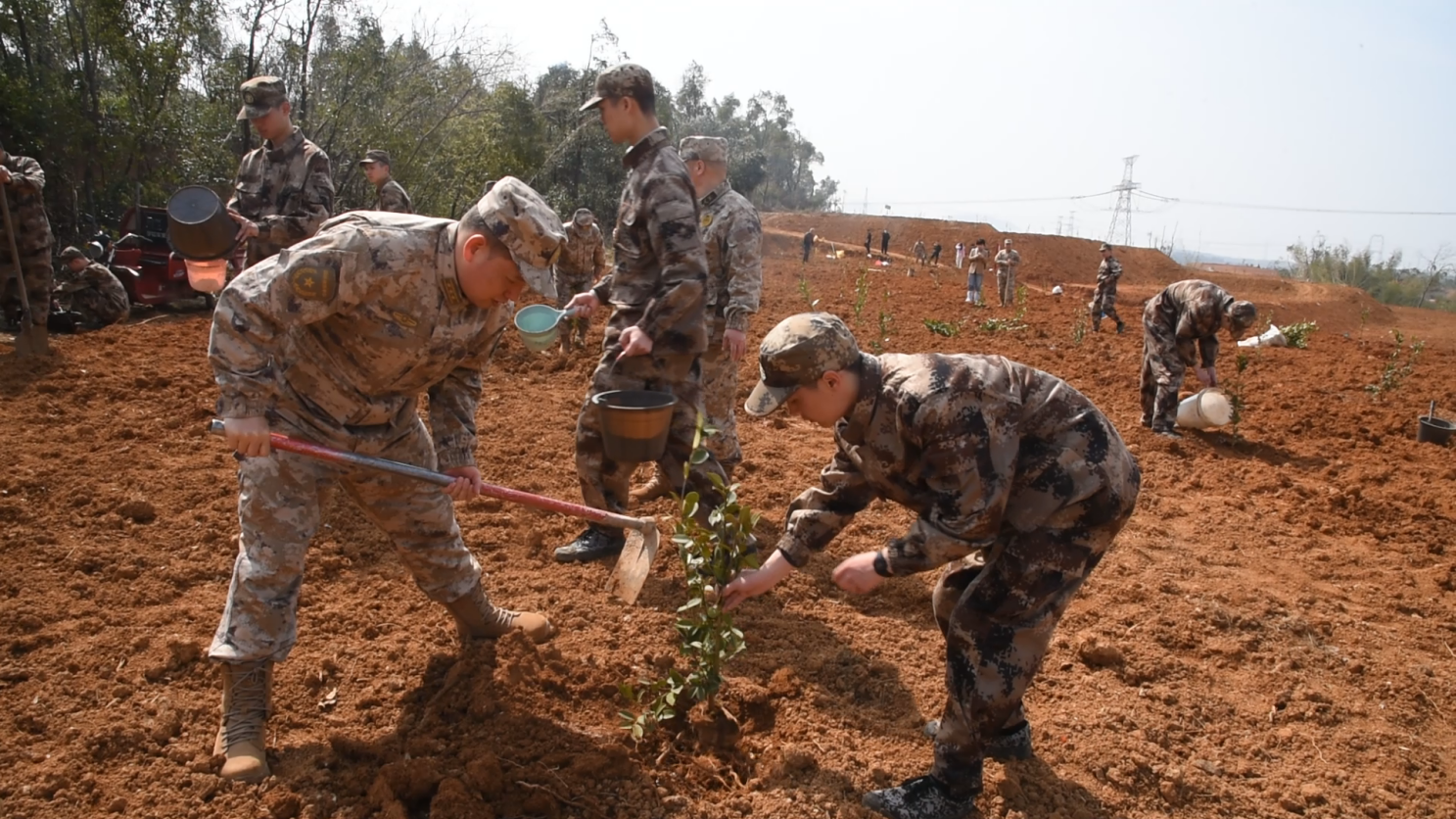 望城新兵“种下一片雷锋林•许下一个从军梦”植树造“雷锋林”活动