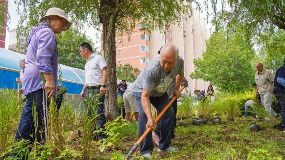 推窗见花园 开门见美景 石景山鲁谷街道重兴园社区描绘优美宜居新画卷 推窗见花园 开门见美景 石景山鲁谷街道重兴园社区描绘优美宜居新画卷