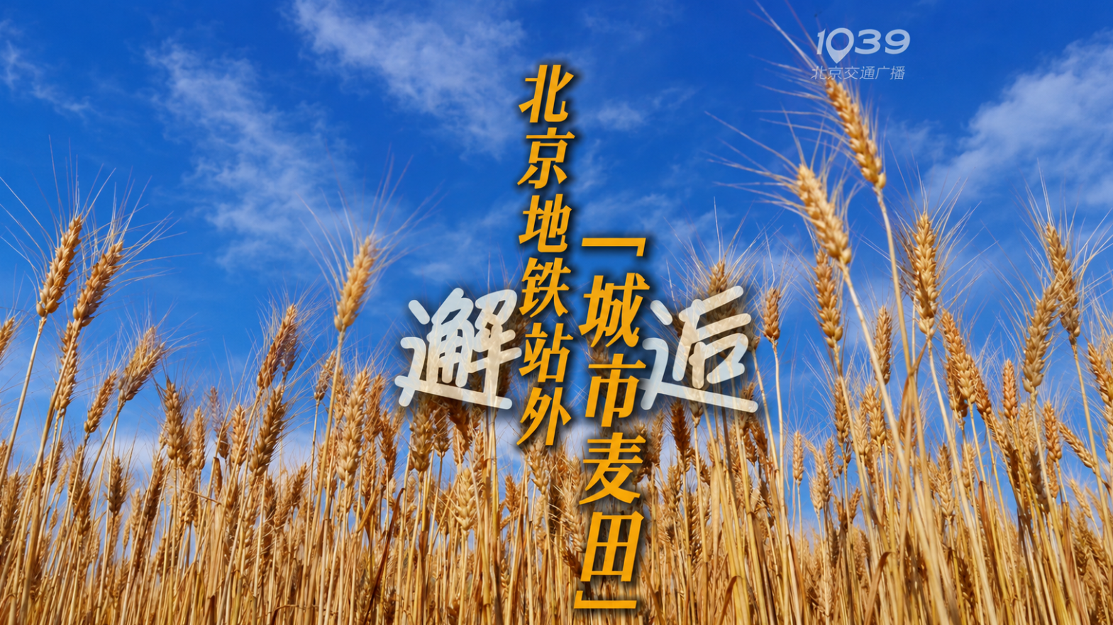 邂逅北京地铁站外「城市麦田」