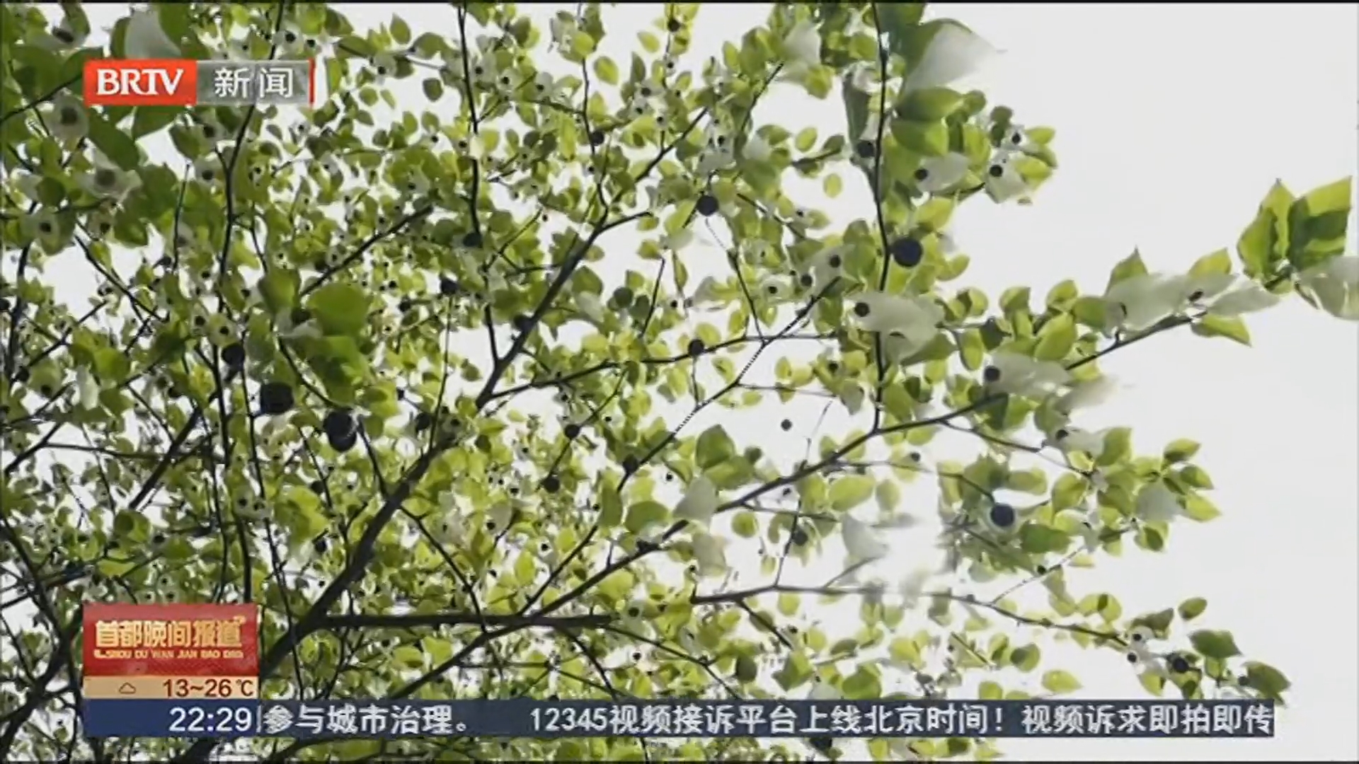 《首都晚间报道》20260423