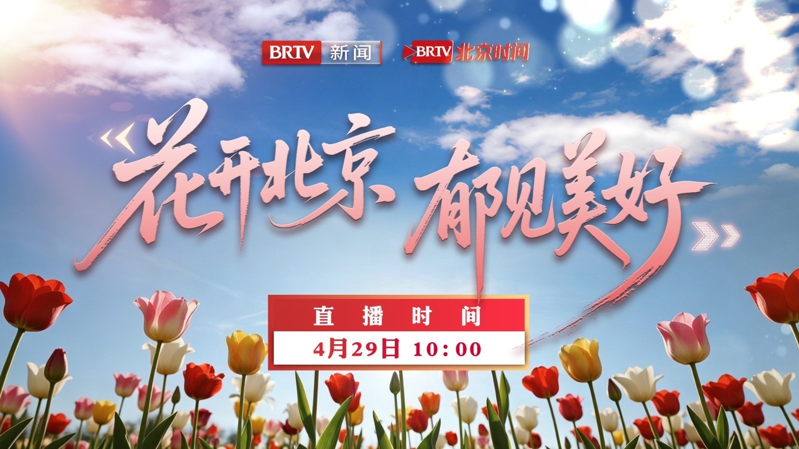 花开北京,郁见美好! 花开北京,郁见美好!