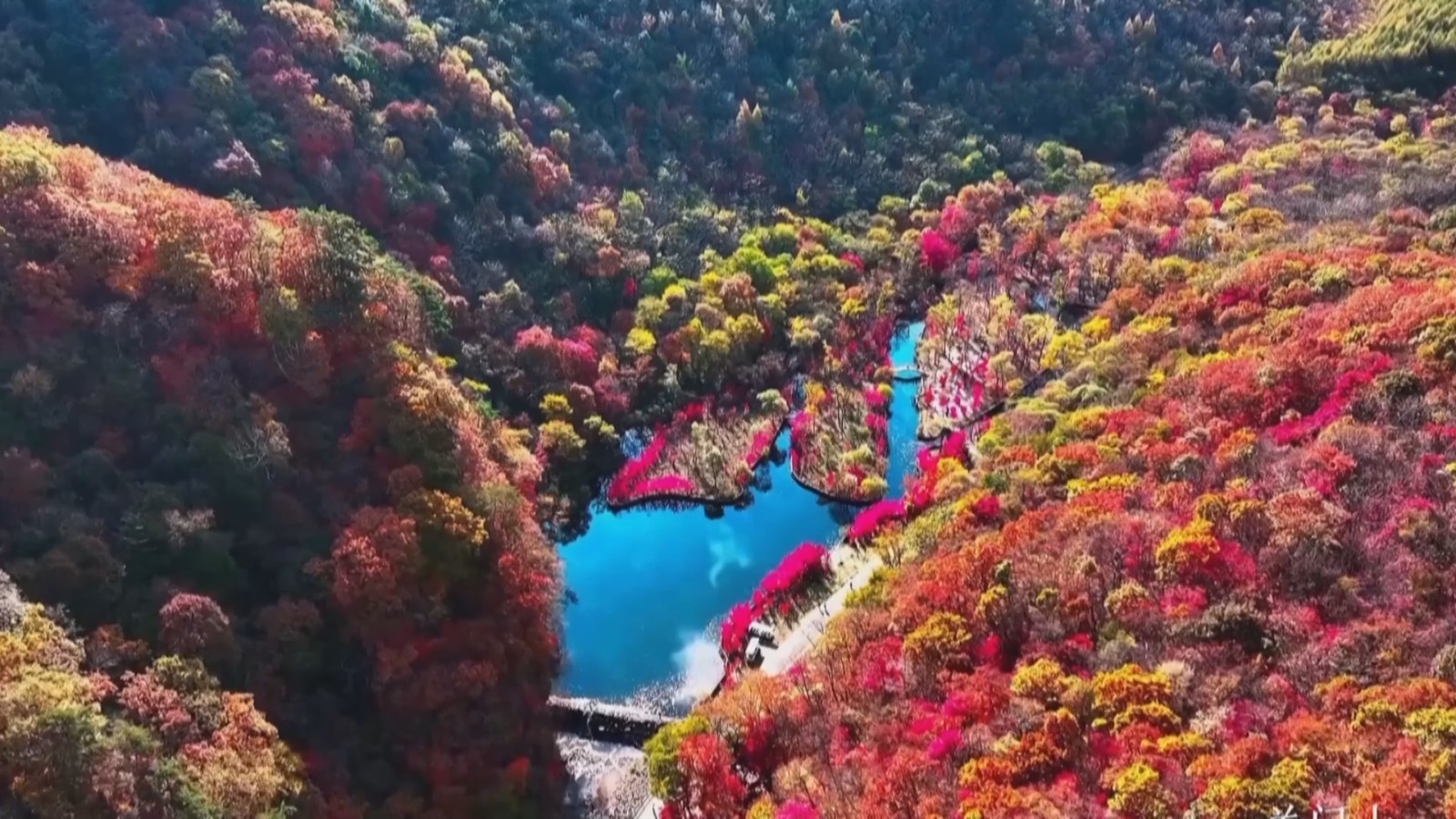 红枫叶!红海滩!令人惊艳的秋日美景尽在这里→ 红枫叶!红海滩!令人惊艳的秋日美景尽在这里→