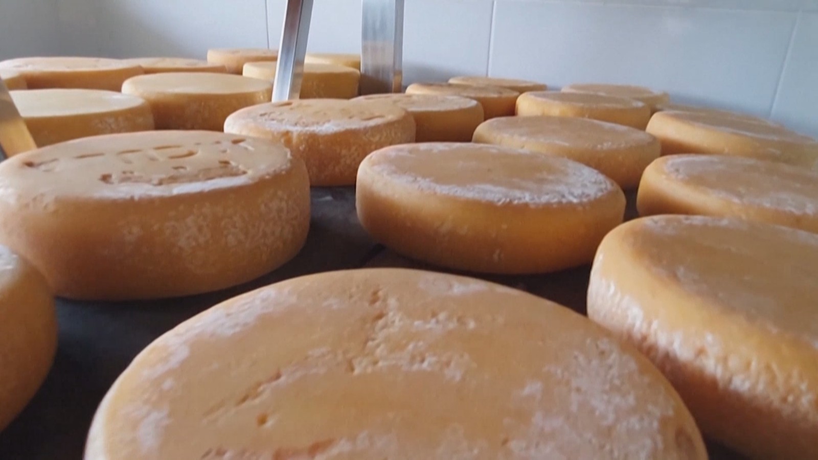 巴西米纳斯奶酪被列入人类非物质文化遗产代表作名录 巴西米纳斯奶酪被列入人类非物质文化遗产代表作名录