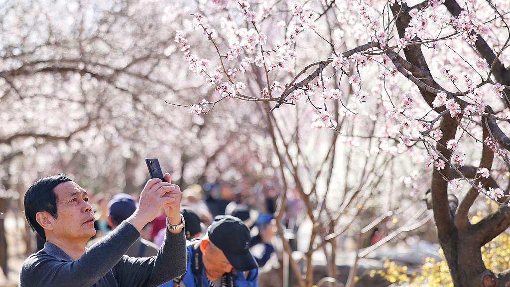 28.9℃!北京连续4天刷新今年以来气温新高,为何升温这么猛? 28.9℃!北京连续4天刷新今年以来气温新高,为何升温这么猛?