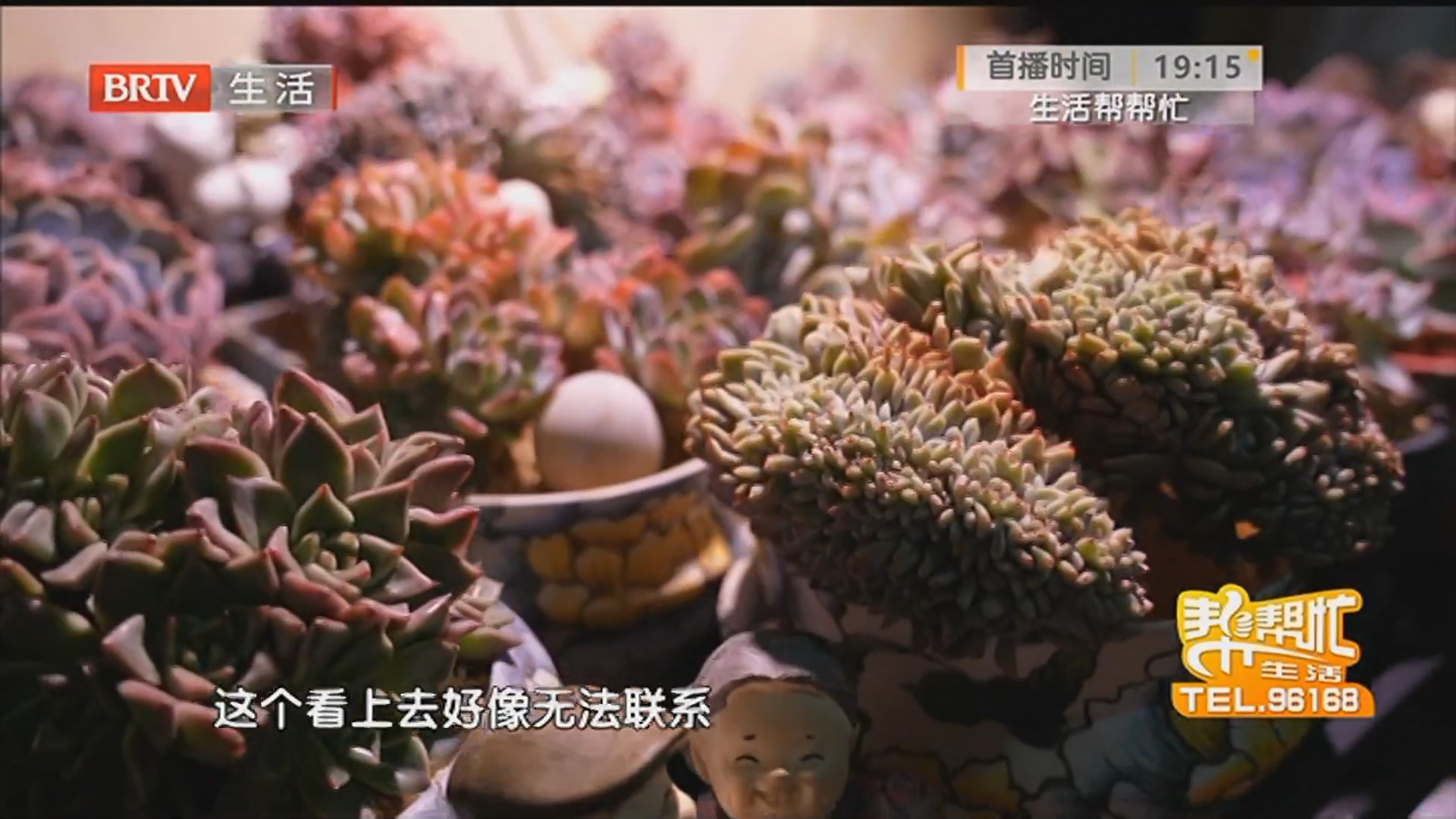 商家换平台直播 面对质疑回复：花都死了 平台：不存在高额服务费 商家违规调查中