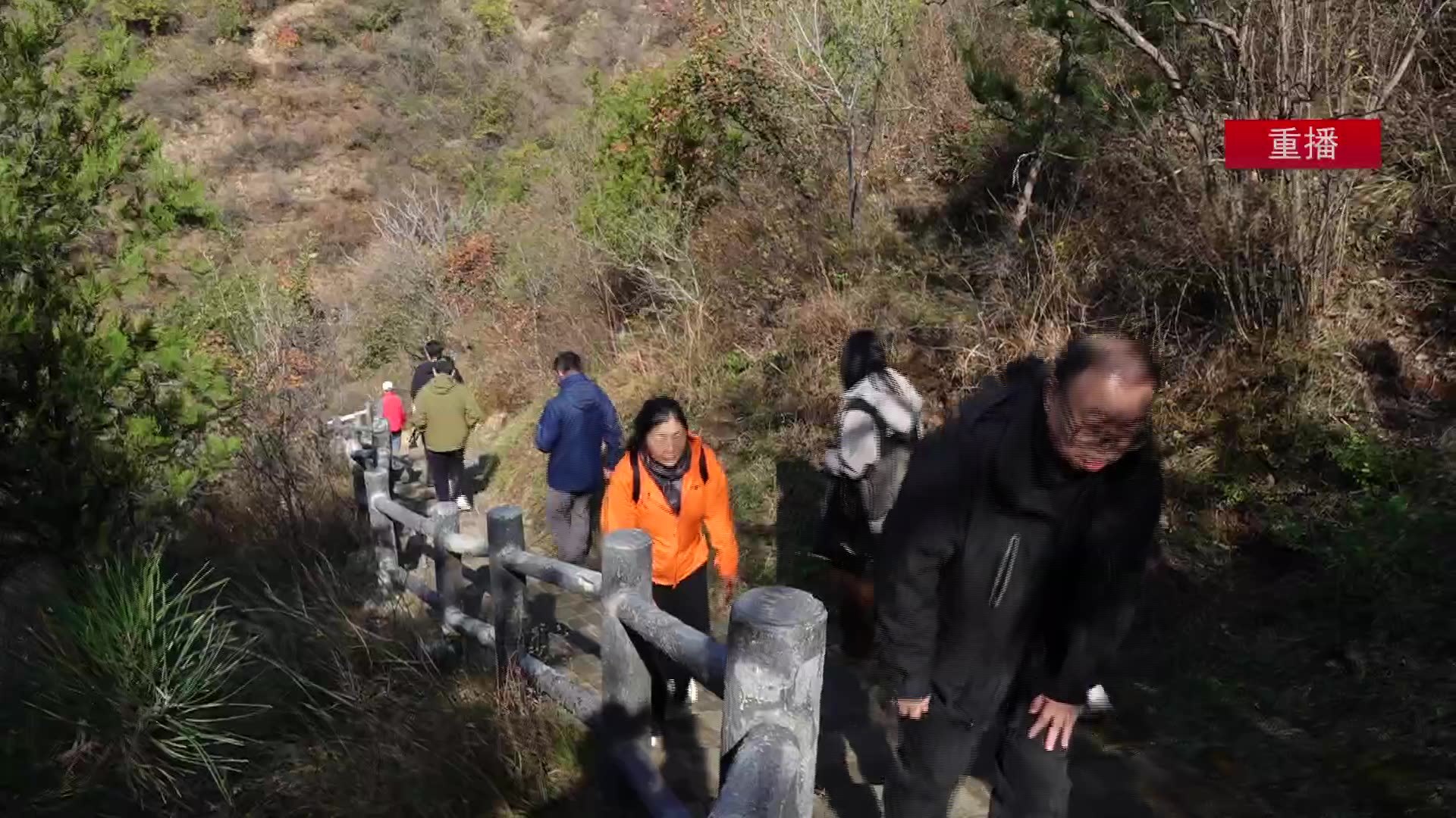 赏叶正当时 八达岭森林公园红叶变色率已达百分之七十
