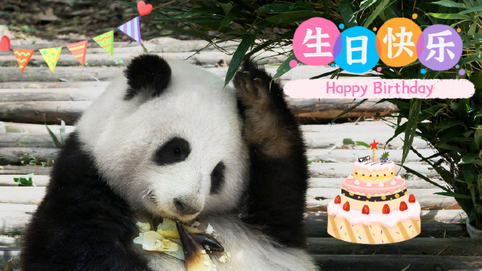 生日快乐!萌兰、花花、和叶今天生日! 生日快乐!萌兰、花花、和叶今天生日!