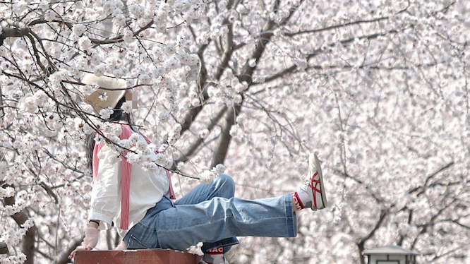 赏春打卡乱象:美景之下,这些行为太“煞风景” 赏春打卡乱象:美景之下,这些行为太“煞风景”