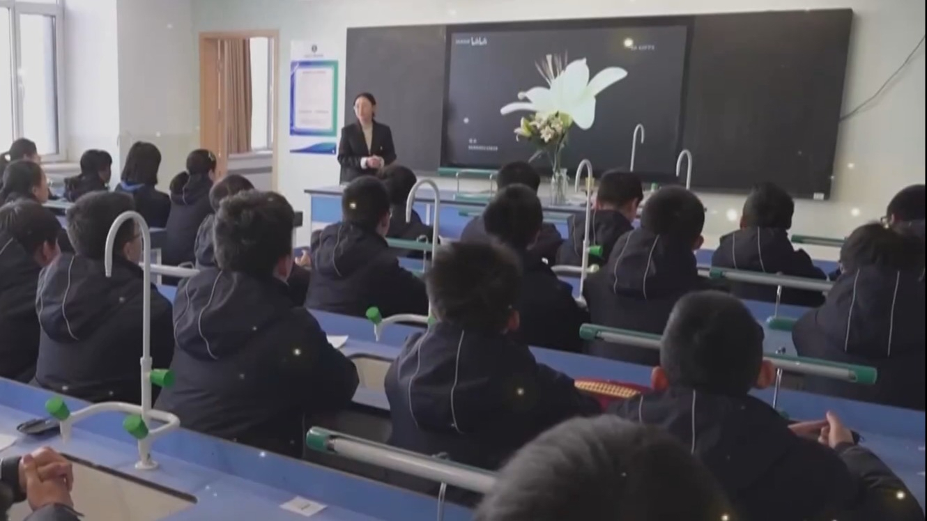 新起点跑出加速度 京津冀协同正当时丨京津冀共绘教育“同心圆”