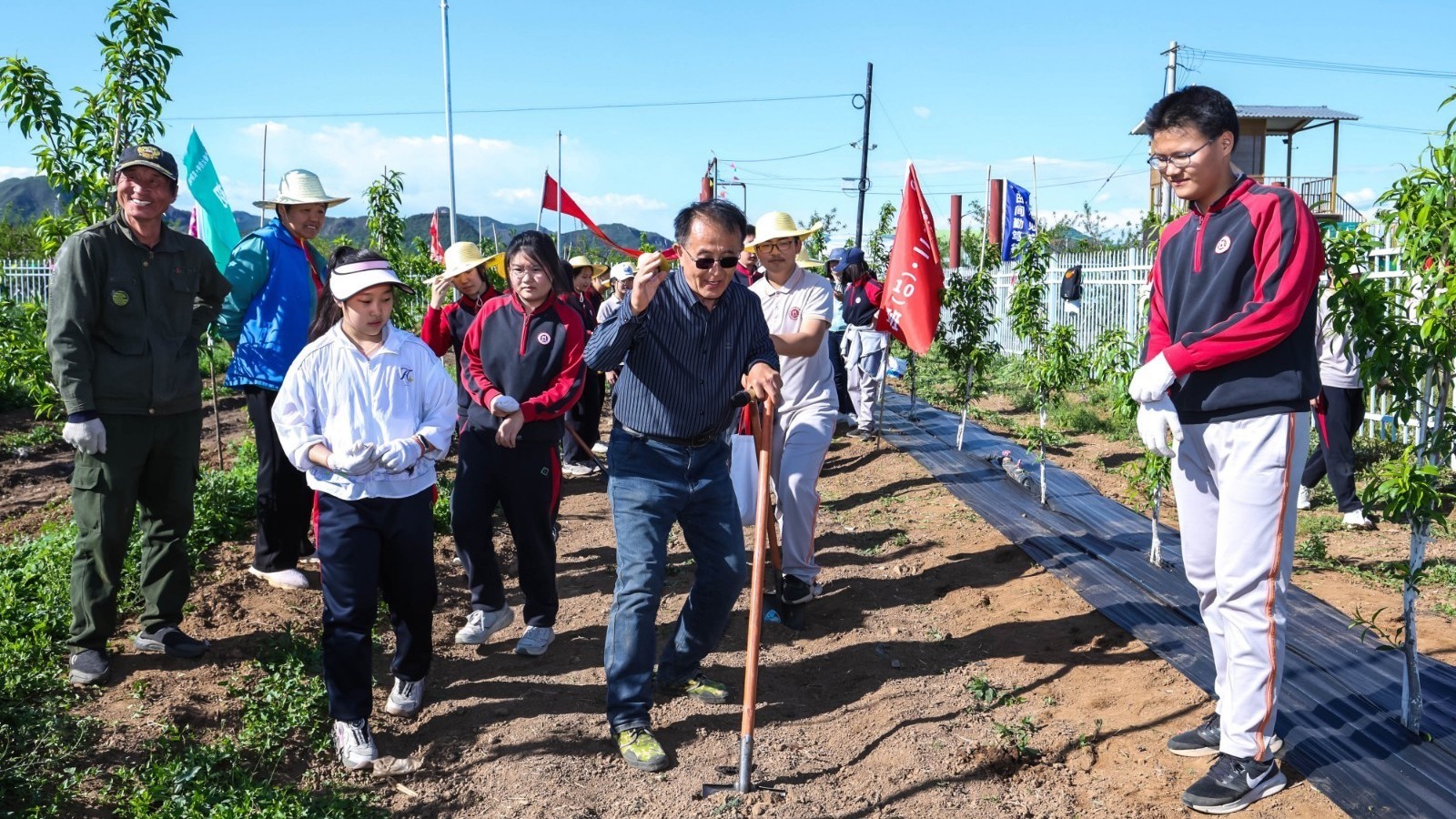 近千名师生走进平谷田垄间开展学农劳动实践