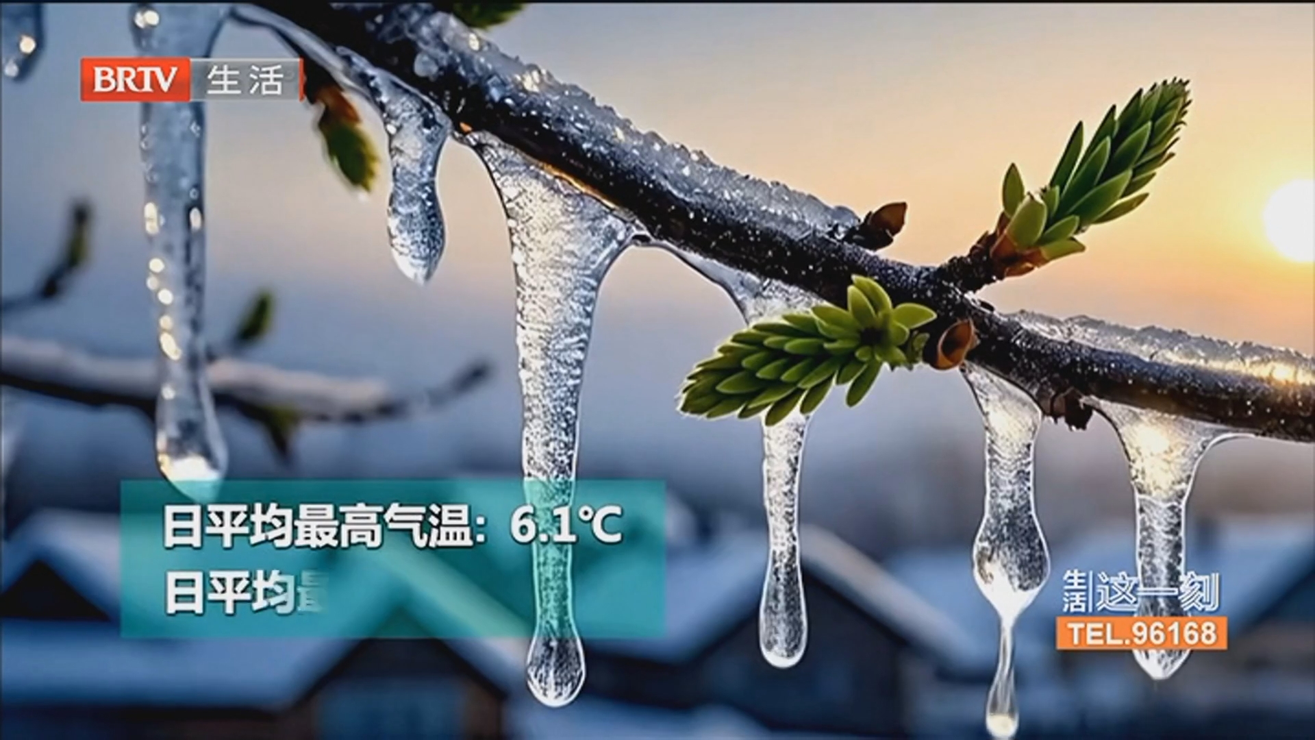 《生活这一刻》20260206