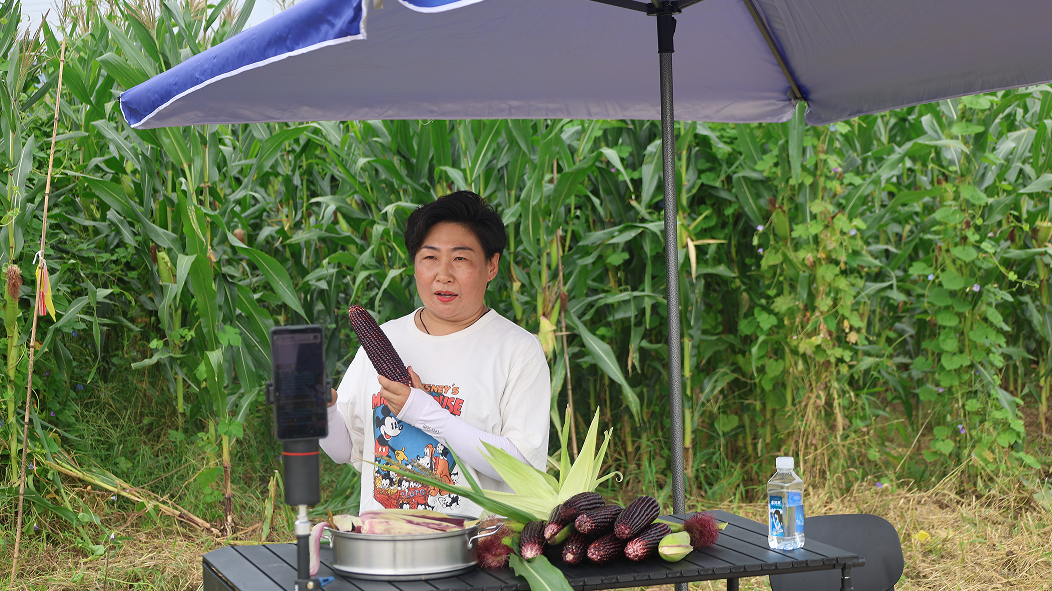 怀柔“明星”开直播啦！