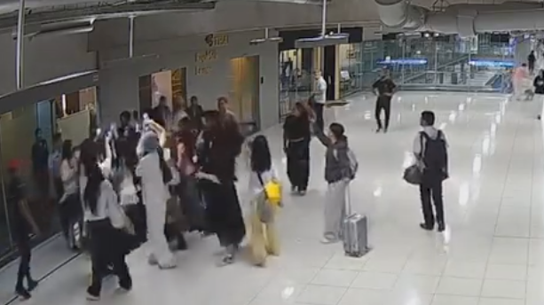 22名中国乘客被泰航拒载，泰国机场致歉：惩处涉事人员