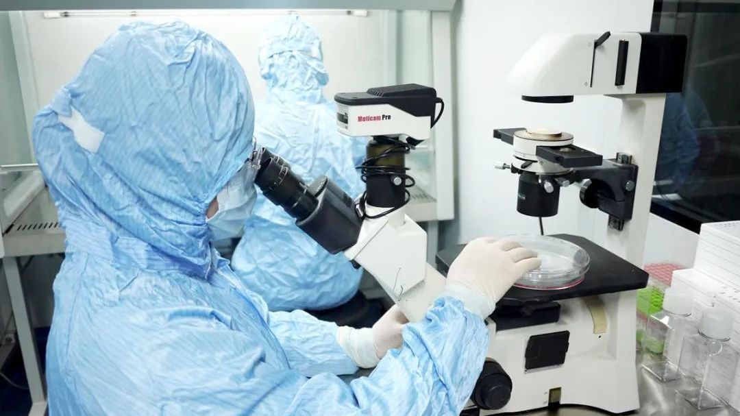 北京科博会丨吉源生物:基因修饰干细胞药物为糖尿病患者带来新希望 北京科博会丨吉源生物:基因修饰干细胞药物为糖尿病患者带来新希望