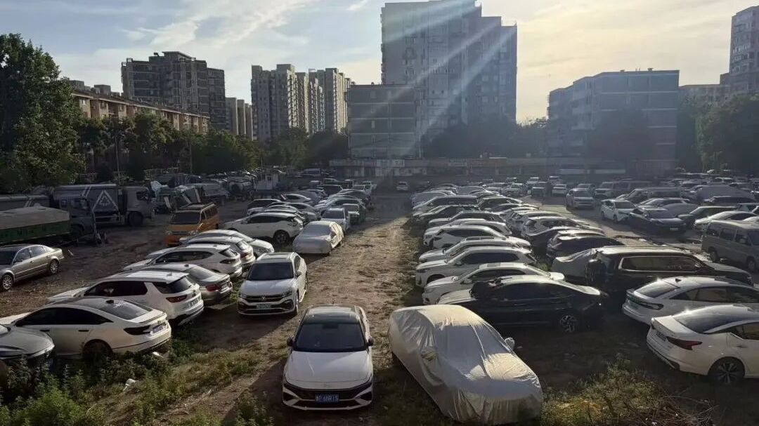 “寸土寸金的地方”，教育用地荒废20年沦为荒地……