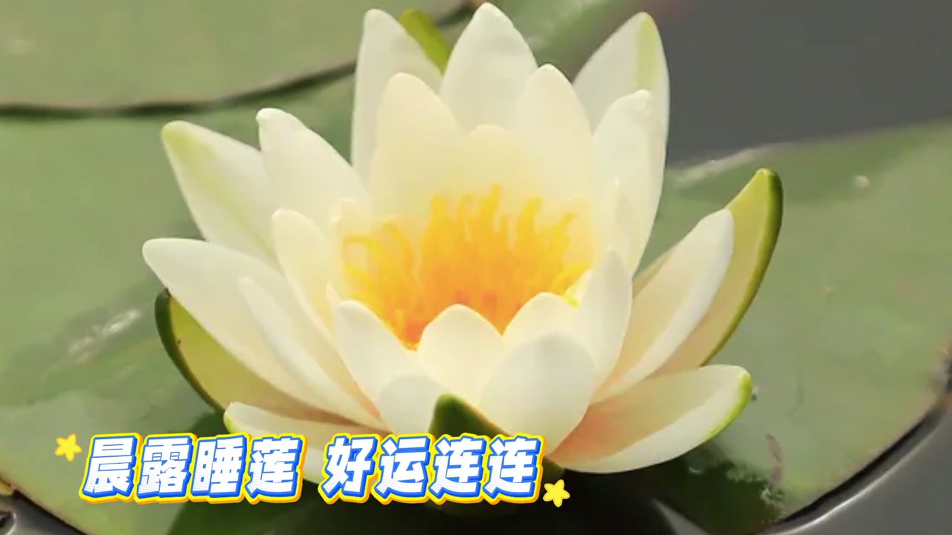 #再见2025上半年#你我共赴下一场花开