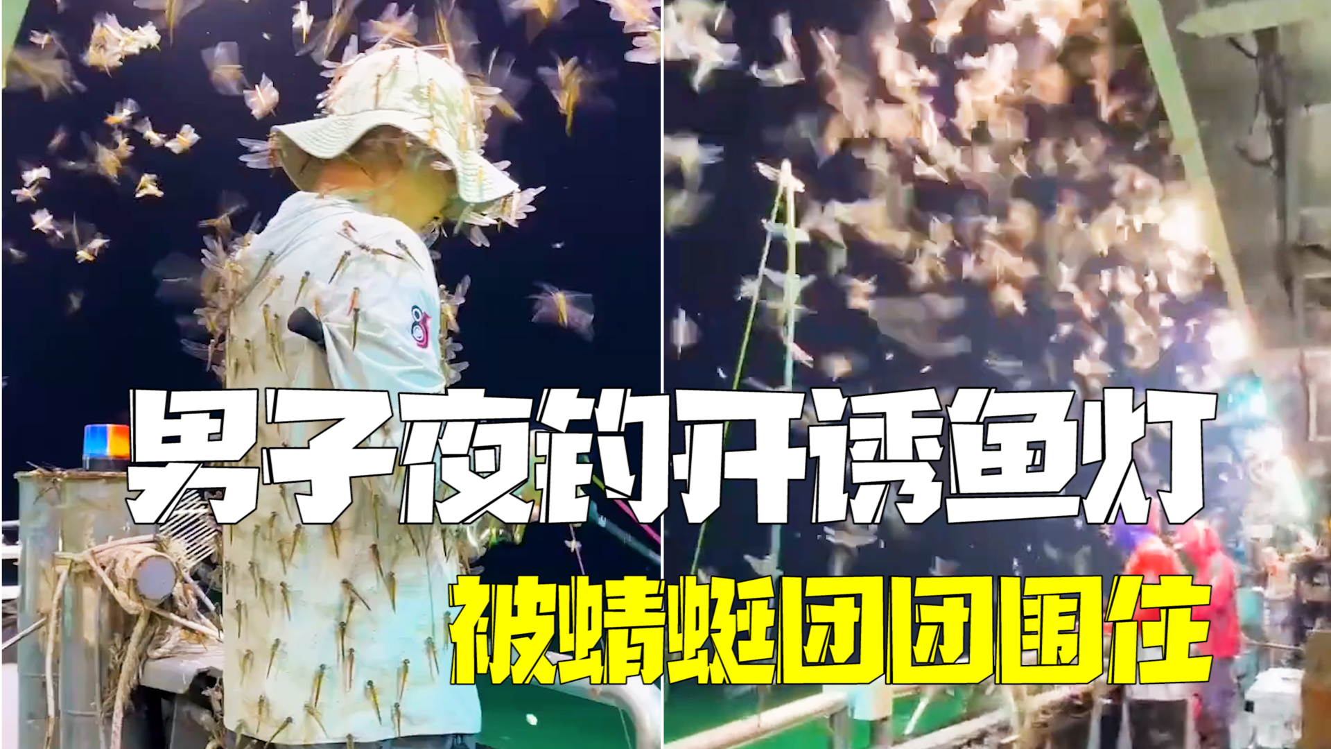 密恐者简直无法呼吸！男子海上夜钓开诱鱼灯 被蜻蜓团团围住落满身