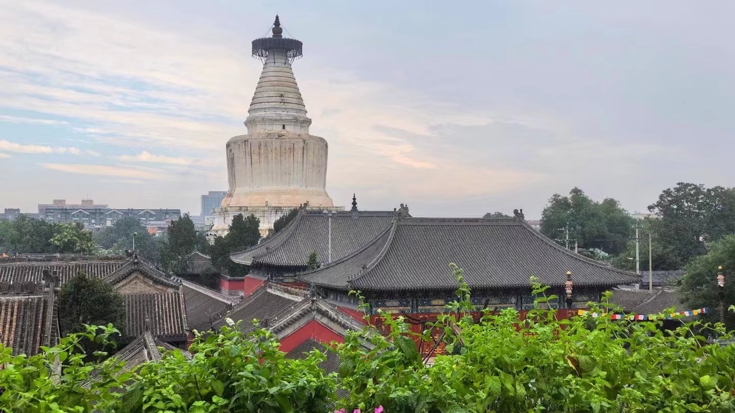 今日有雨 勿忘携带雨具 最高气温30℃ 今日有雨 勿忘携带雨具 最高气温30℃